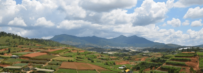 Vietnam Da Lat Wedding Travel Photo (2026 Guide)